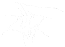 Zifir